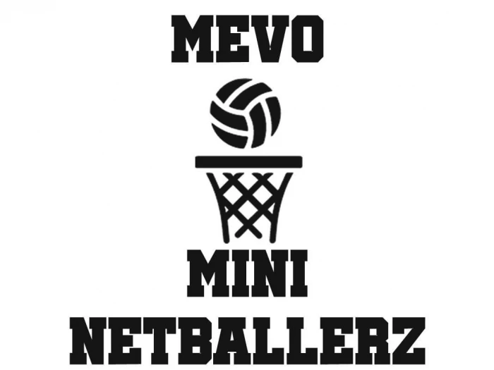 mini netball z
