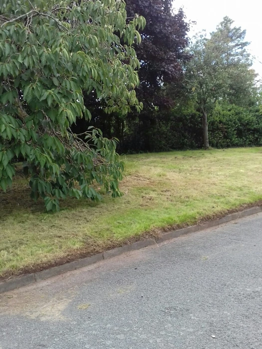 more grass cutting