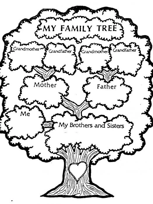 my family tree