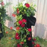 nantwich show 2015