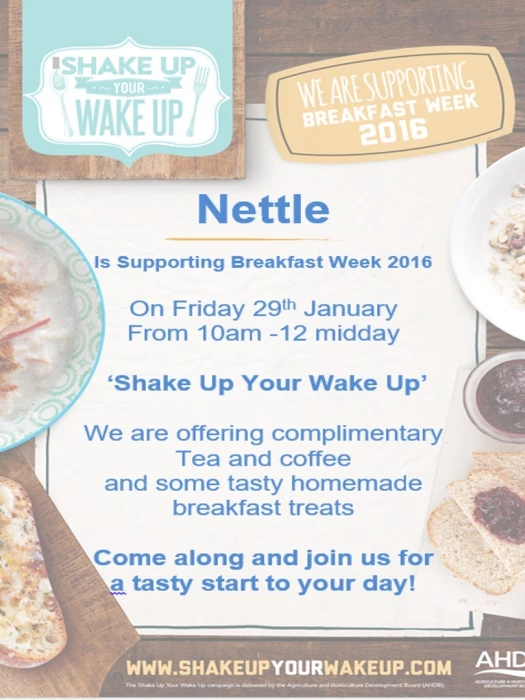 nettle breakfast