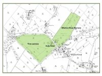 ollerton nurseryweb 2