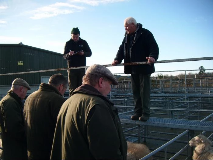 oswestry livestock market