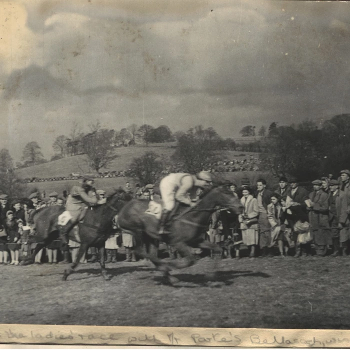 overton hall point to point races