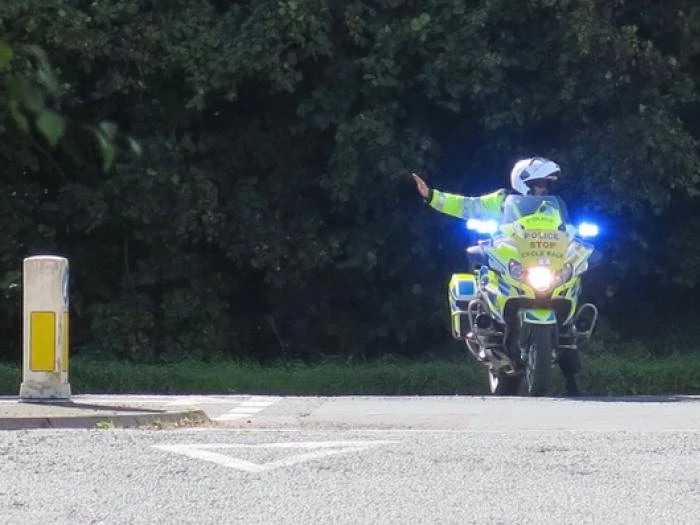 ovostopping the traffic2a29 1