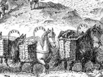 packhorse convoy2