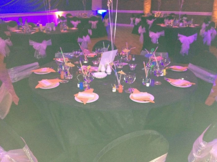 party at tcc 2 may 2016