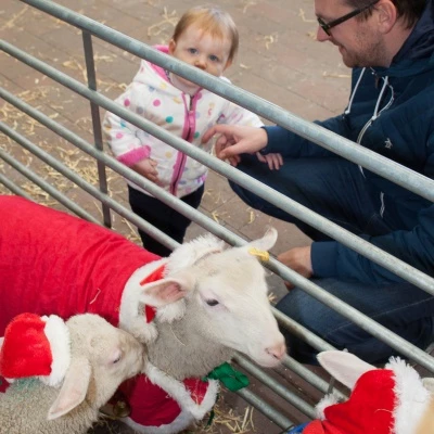 petting zoo