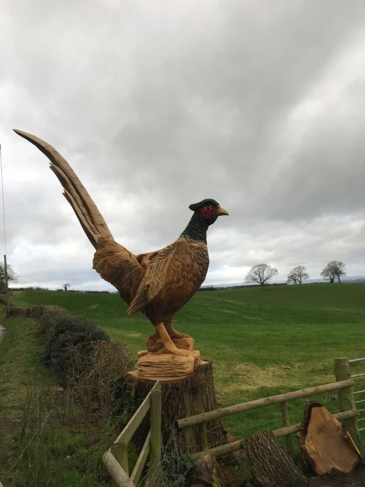 phones pheasant