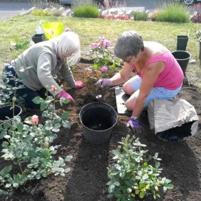 planting at madelaines 3rd june 2019 3