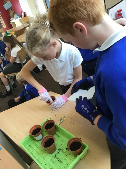 planting seeds pshe