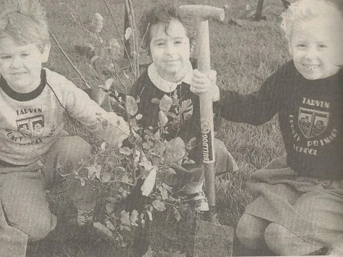 planting trees scan20181101