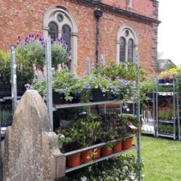 plantsale20190503173250