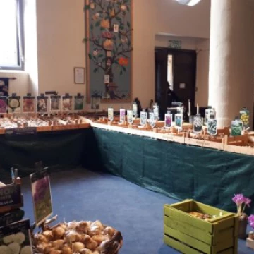 plantsale202009190855540