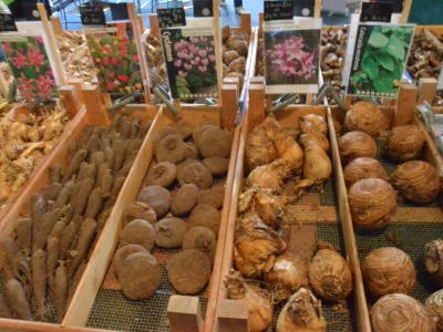 plantsale2022 05 01 23