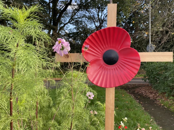 poppy and cross