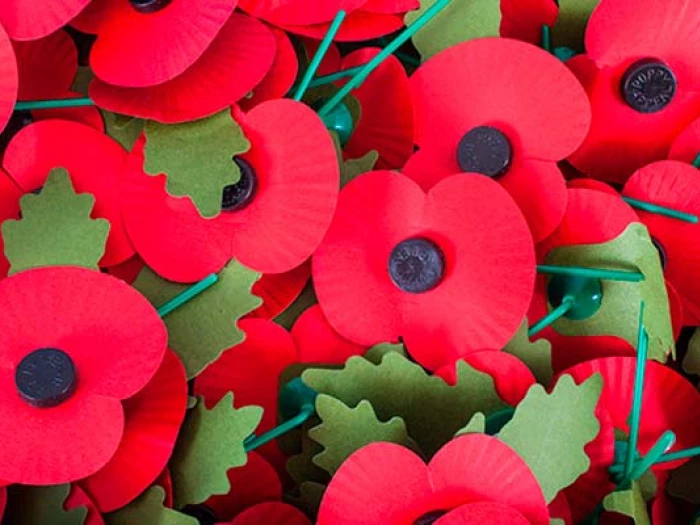 poppy appeal 2021