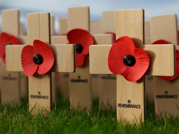 poppy crosses