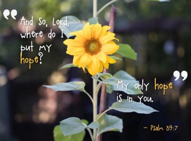 psalm 39 v7