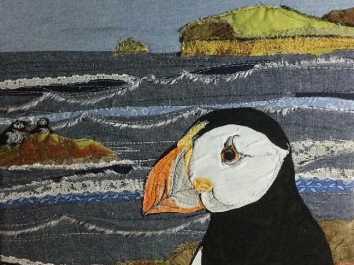 puffin