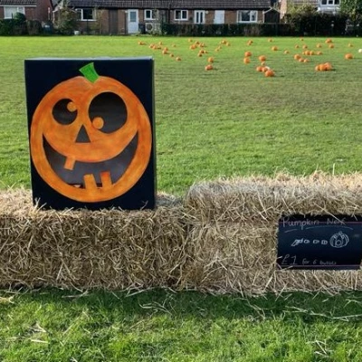 pumpkin patch 2 2021