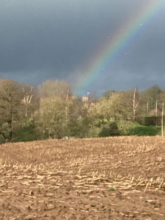 rainbow