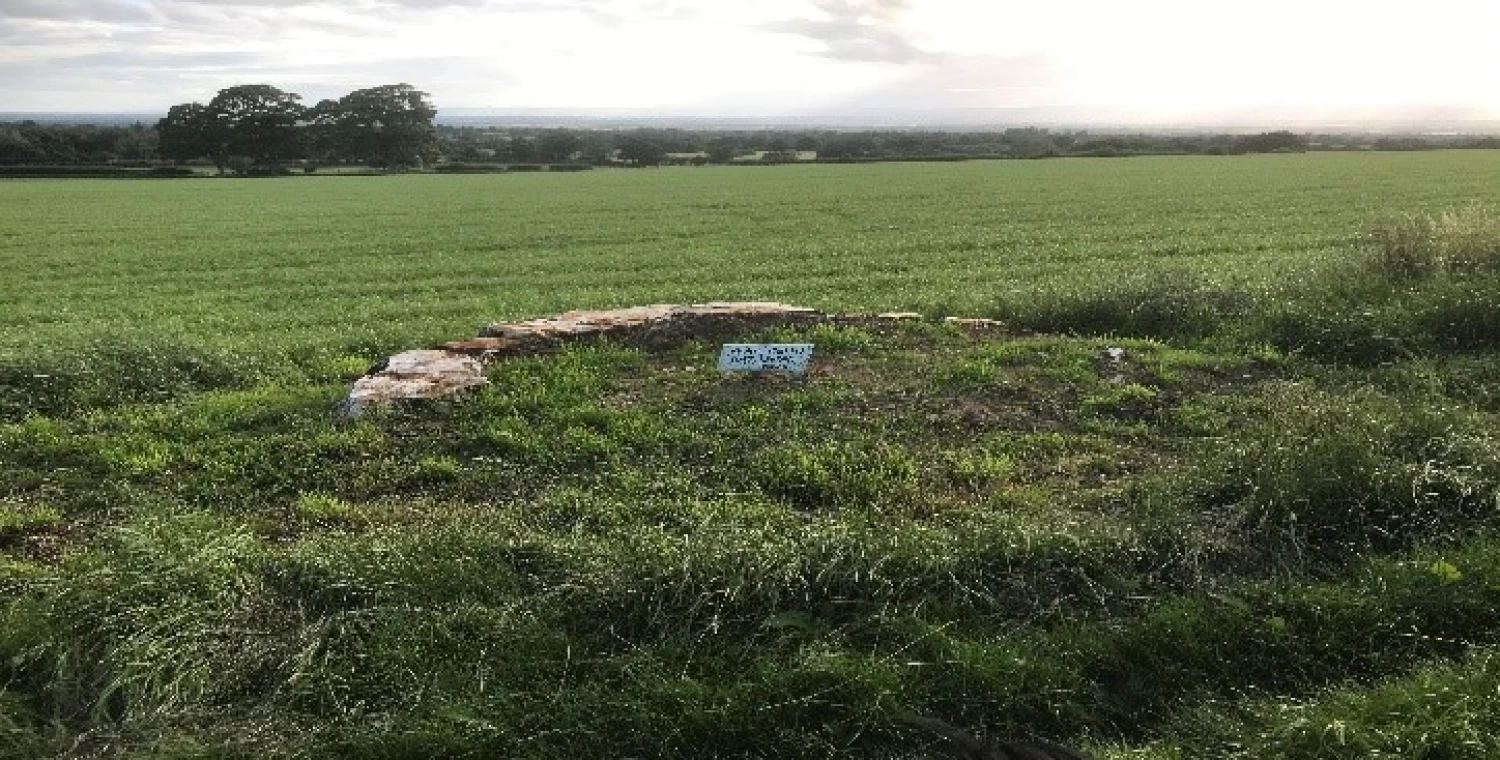 remains of one of the 12 apostle trees