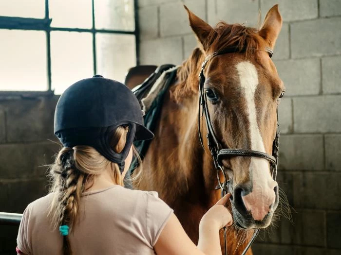 rider in horse stables