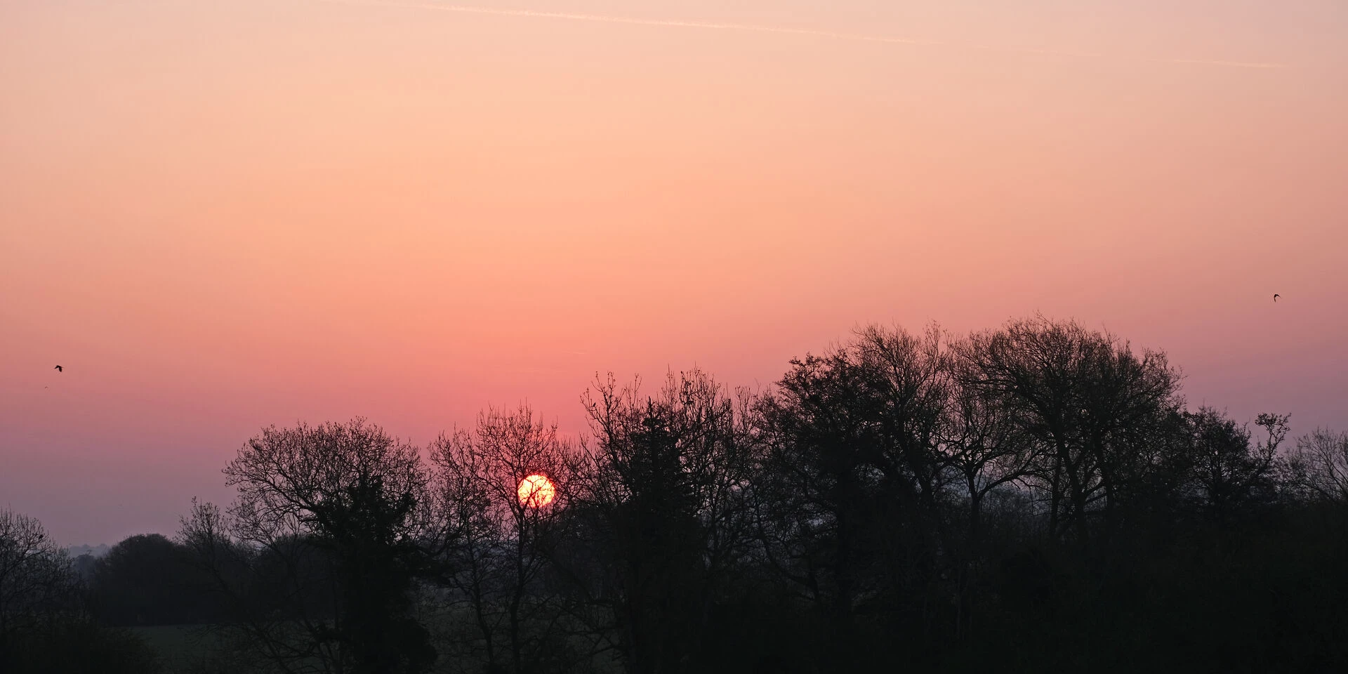 rr by dawn39s early light f7038