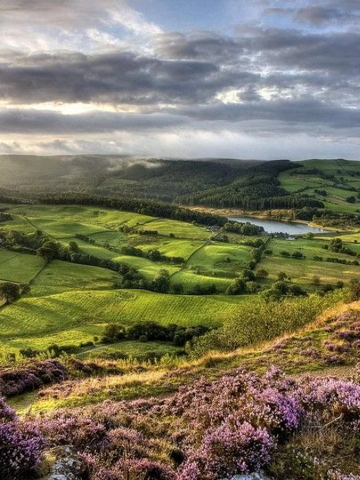 rural cheshire