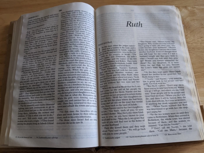 ruth double bible