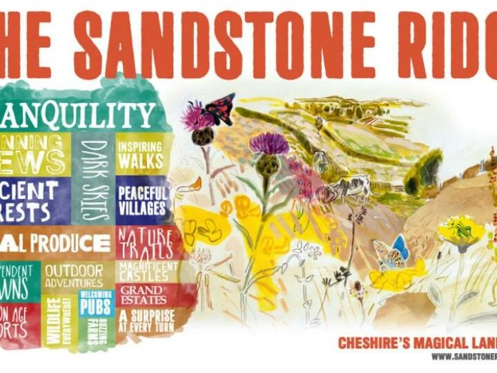 sandstoneridgemerchandiseartworkfinal