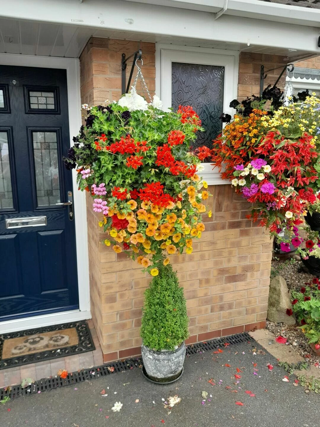school flowers