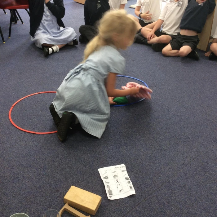 science 4
