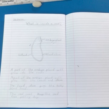 science