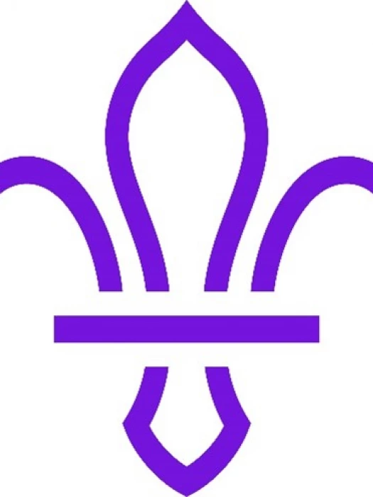 scout logo picture1