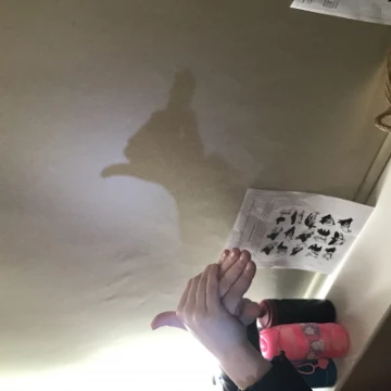 shadow