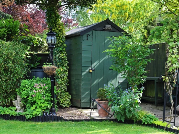 shed in a garden