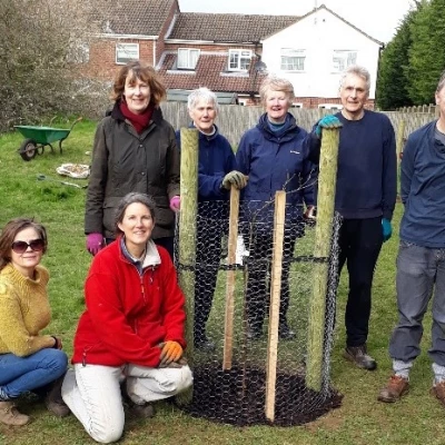 sheerstock tree planting mar2001