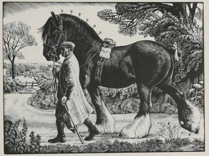 shire stallion charles tunnicliffe