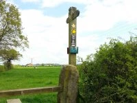 signpost