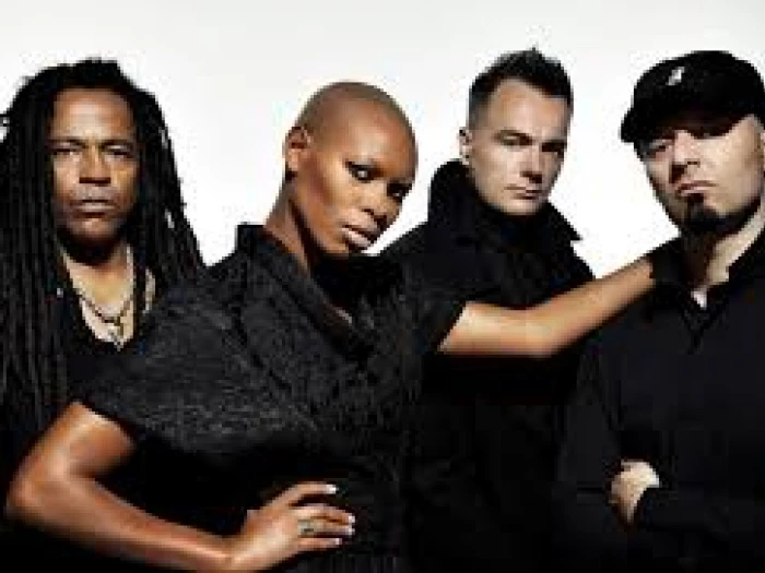 skunk anansie