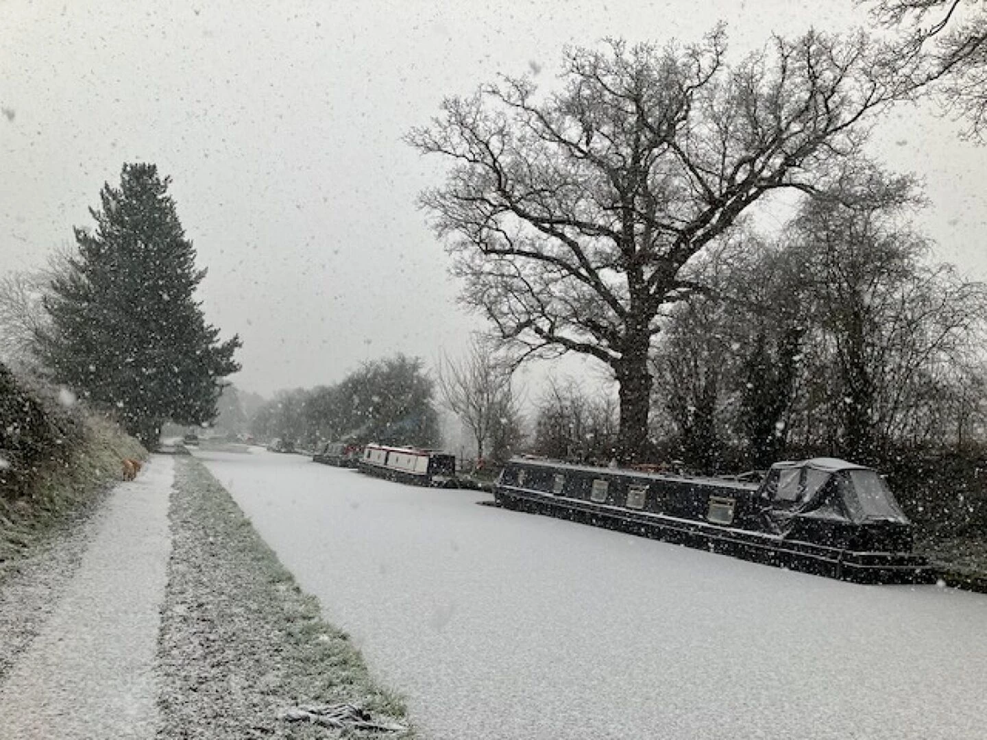 snow on the canal 0