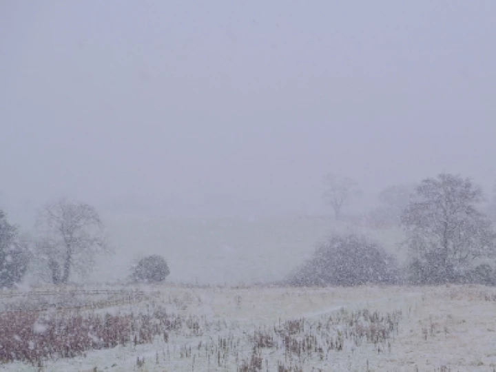 snow