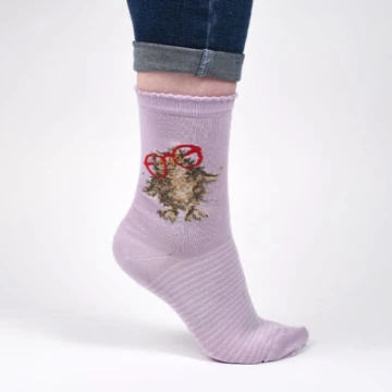 sock004b