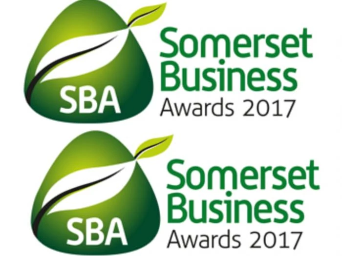 somerset business awards