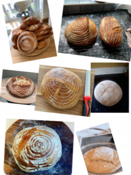 sourdough