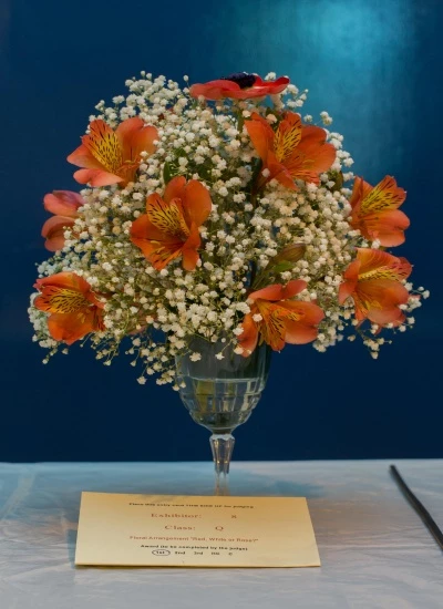 spring flower display 4