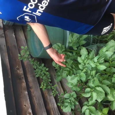 spuds 4