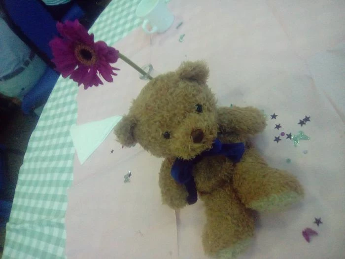 stokesley bear at the party